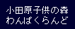 小田原子供の森わんぱくらんど